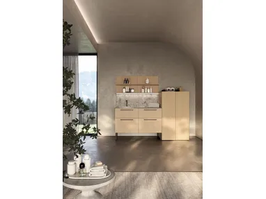 Mobile lavanderia LD001